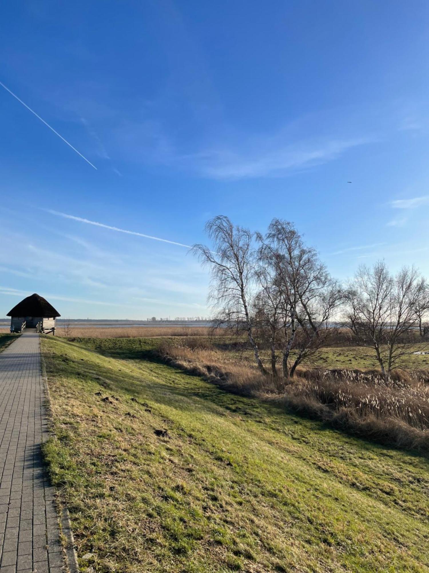 Ferienwohnung Ferienhaus Kaptein Meyer Ostseeheilbad Ostseeheilbad Zingst Exterior foto